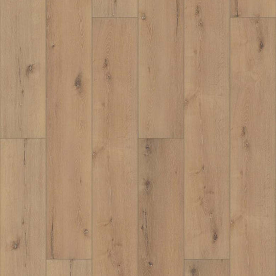 CORETEC PRO ENHANCED VV491 in Cairo Oak