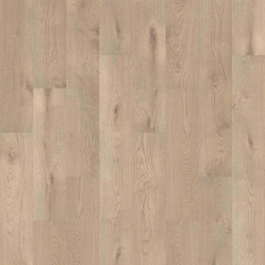 SCRATCHLESS 9X86 in Pronto Oak Luxury Vinyl