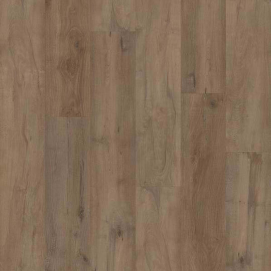 CORETEC PRO PREMIUM VV800 in Warwick Maple