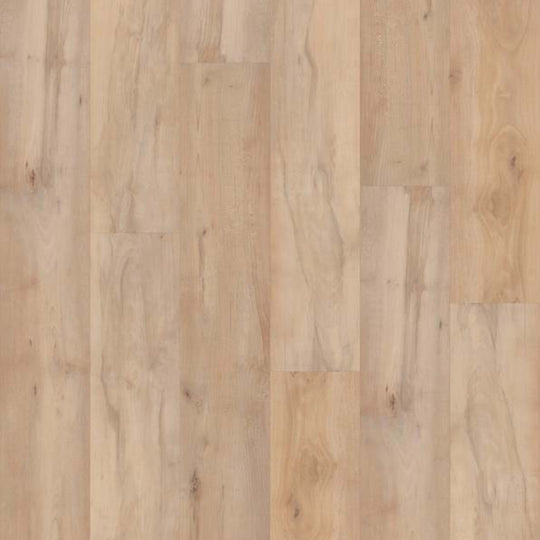 CORETEC PRO PREMIUM VV800 in Brookfield Maple