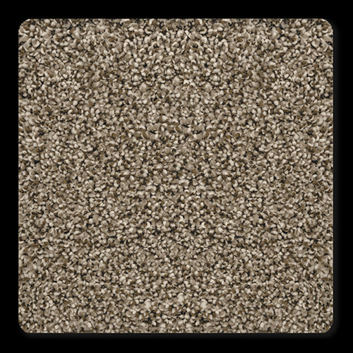 Venice in Mountain View Carpet