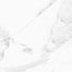 VINTAGE in Statuario - 24x48 Tile