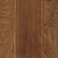 Waverton Birch in Burlap Birch Hardwood