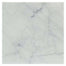 White Carrara in White Carrara ''C'' 12x12 Polished Natural Stone