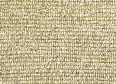 Wyoming in Greybull Carpet
