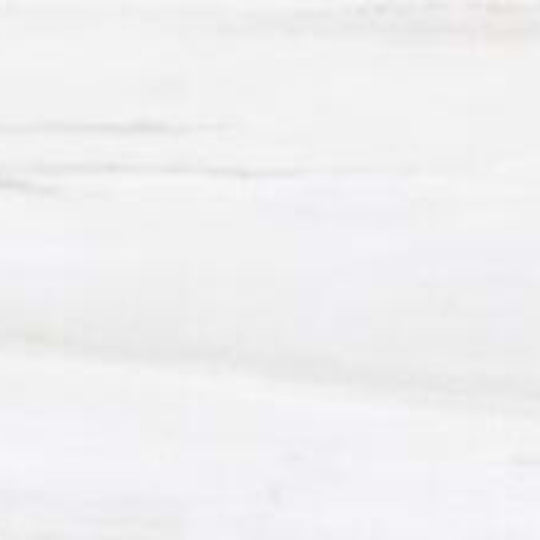 Whisteria in Bianco -12x24 Matte