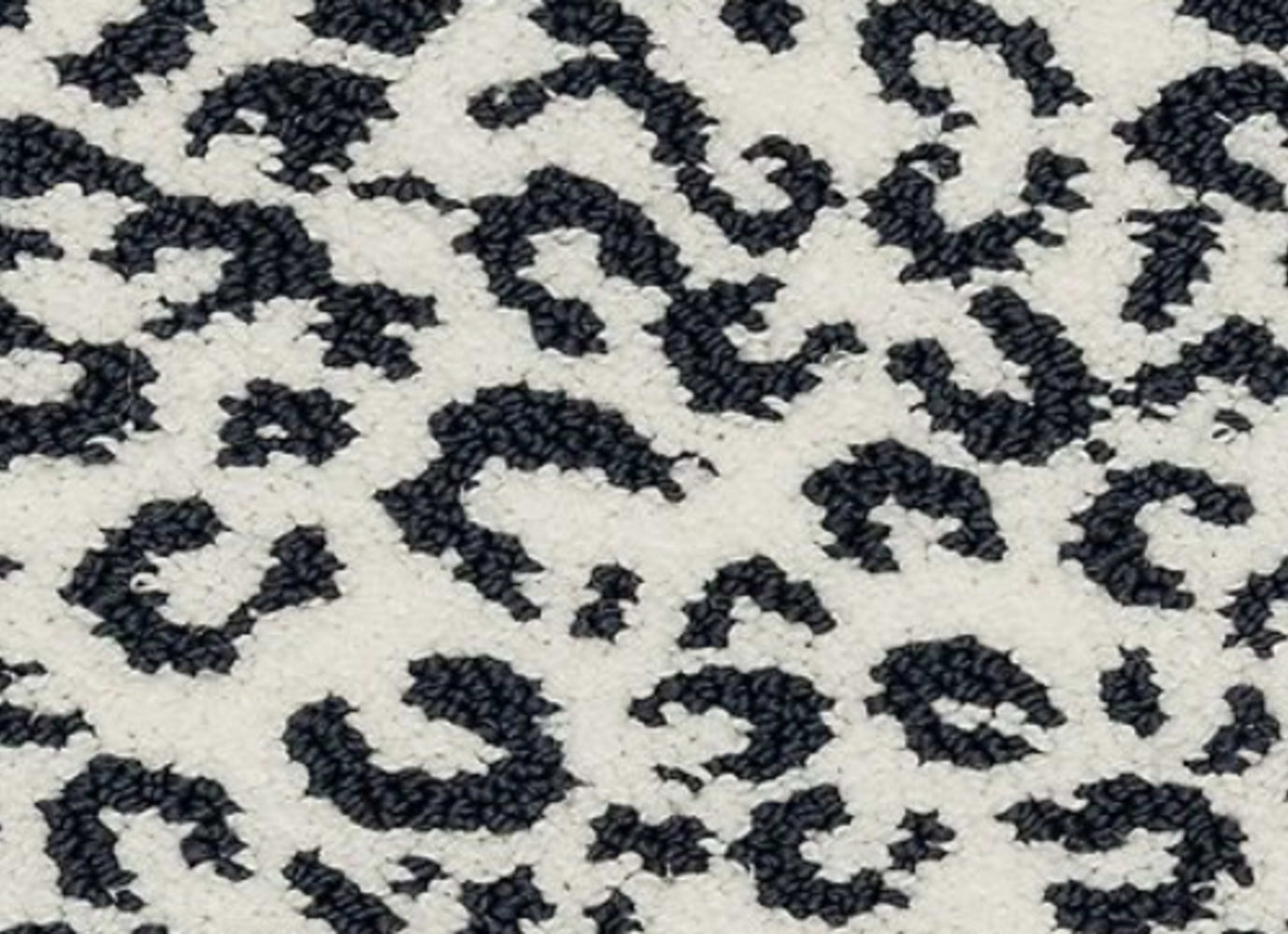 Wild in Andean Carpet