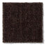 Del Sur II in Chocolate Drop Carpet