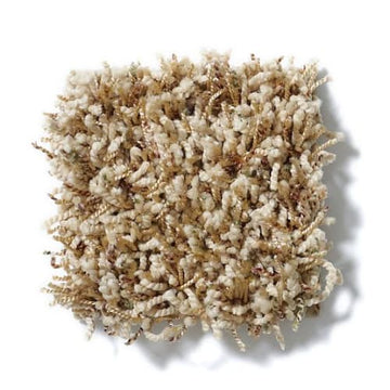 Oat Grass
