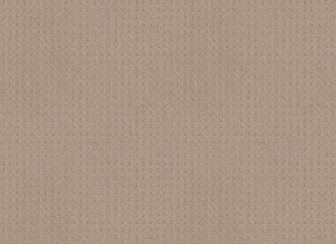 Time Square in Dune Carpet