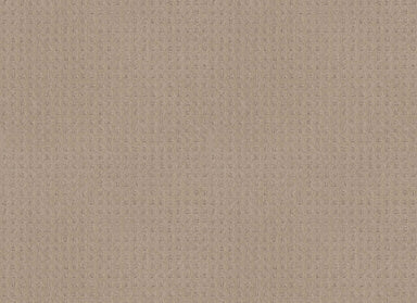 Time Square in Dune Carpet