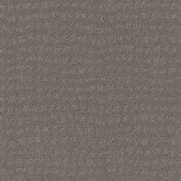Still Gray
