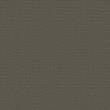 Pewter