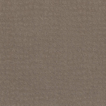 Shitake