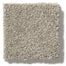 Free Form in Cumulus Carpet