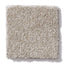 West Place I in Driftwood Carpet