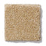 West Place II in Honeycomb Carpet