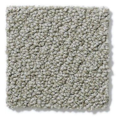 On Point in Graystone Carpet