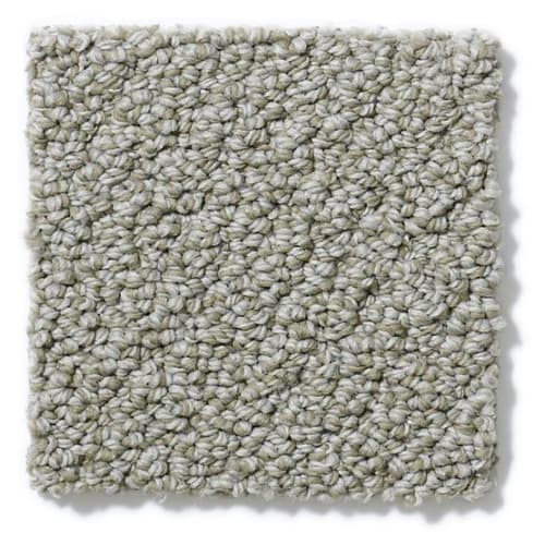 On Point in Graystone Carpet