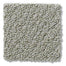 On Point in Graystone Carpet