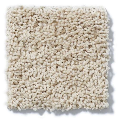 Del Morro in Chic Cream Carpet