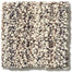 Sundance in Cedar Grove Carpet