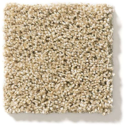 Ocean View in Serengeti Carpet