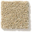 Ocean View in Serengeti Carpet