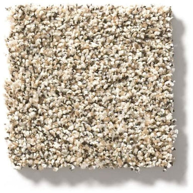 Carmel Coast in Sunbaked Carpet
