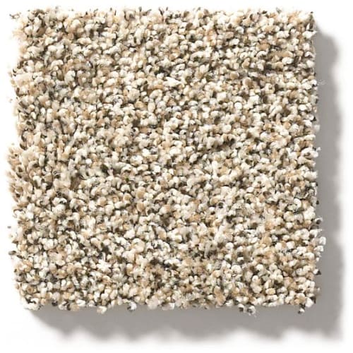 Carmel Coast in Sunbaked Carpet