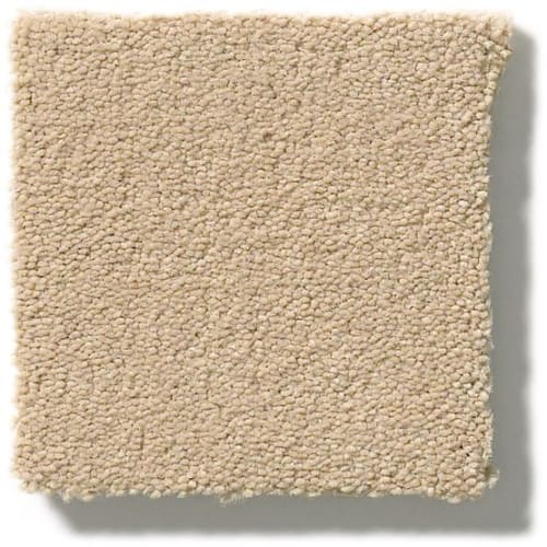 Perfect Choice in Sugar Cookie Carpet