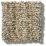 Aspen Creek in Wooded Acre Carpet