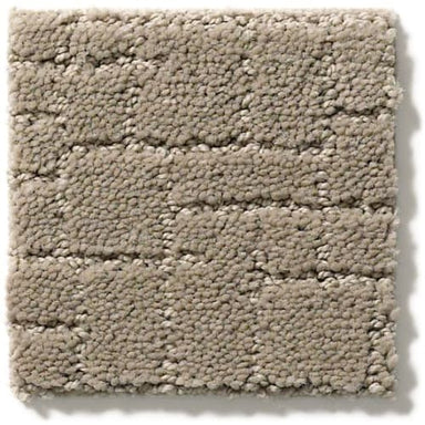 Faux Paw in Mocha Cream Carpet