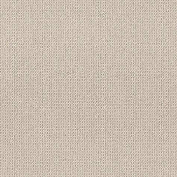 Mocha Cream