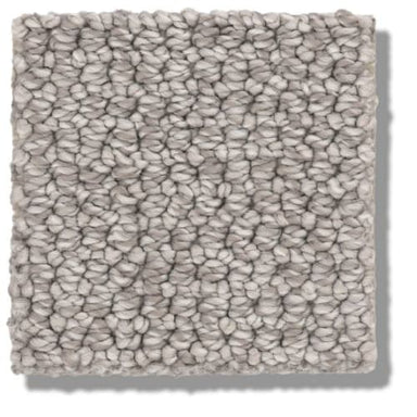 Purrfection in Flagstone Carpet