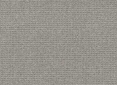 PURRFECTION in Platinum Carpet