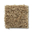 Travertino Too in Peanut Shell Carpet
