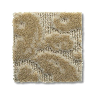 Purrfect Harmony in Sunset Carpet