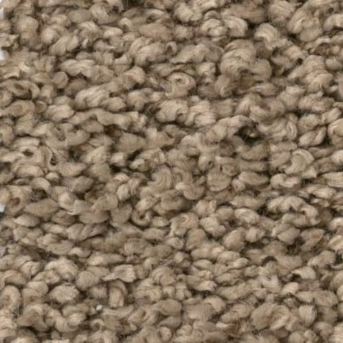 Fan Favorite in Plymouth Carpet