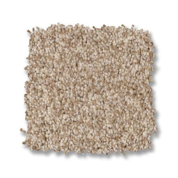 Beach Grass