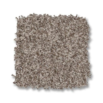 Pashmina