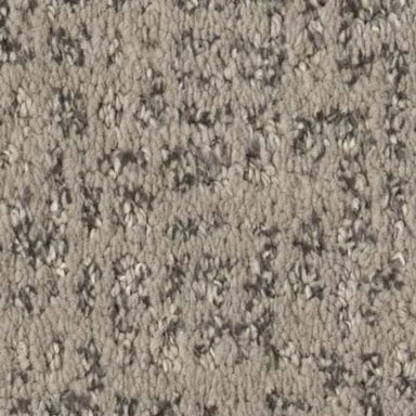 Caboodle in Grounded Carpet