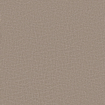 Canyon Dust