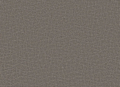 CHIT CHAT in Magnetic Carpet