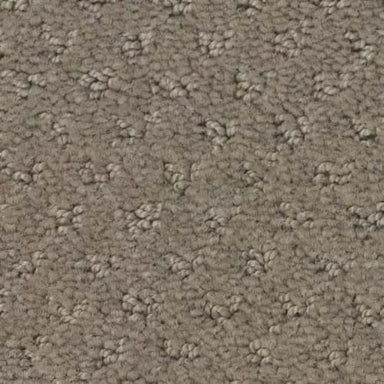 Del Vista in Koala Carpet