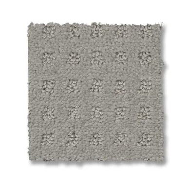 Town Square in Silver Fox Carpet