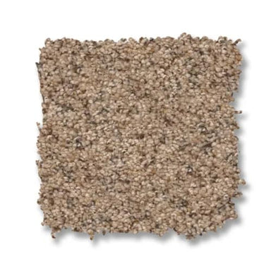 Topanga Canyon in Basic Tan Carpet