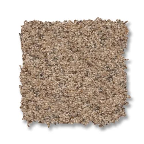 Topanga Canyon in Basic Tan Carpet