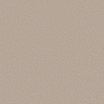 Sandshell