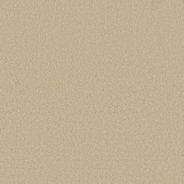 Papyrus